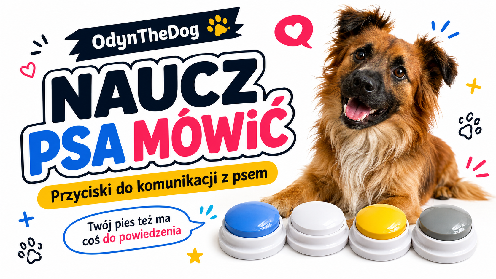 Naucz psa mówić - przyciski do komunikacji z psem