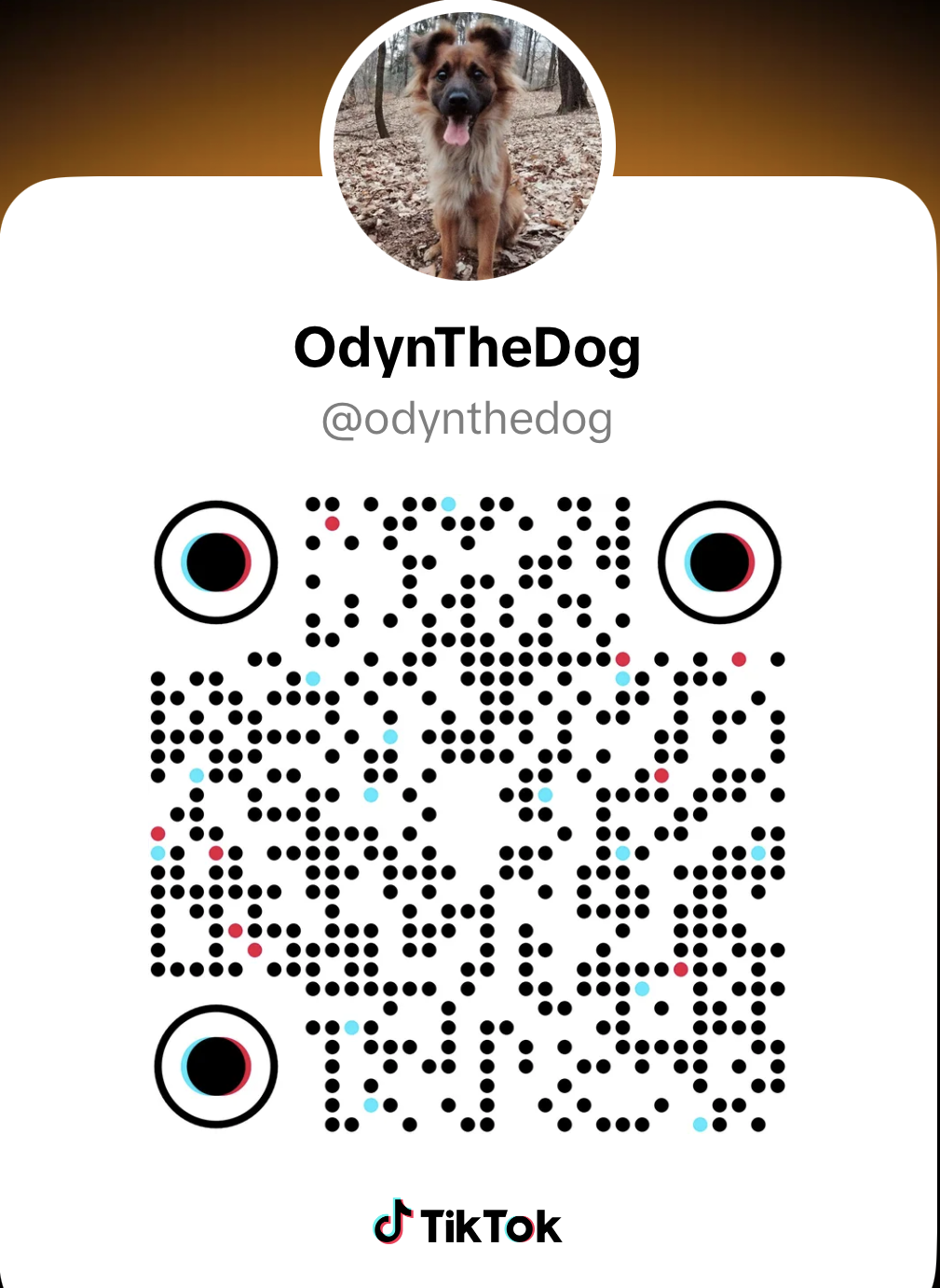 Kod QR TikTok OdynTheDog